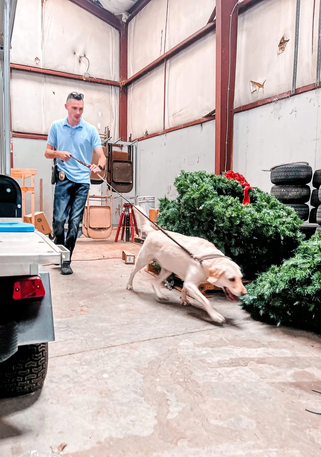 Building drive on the leash