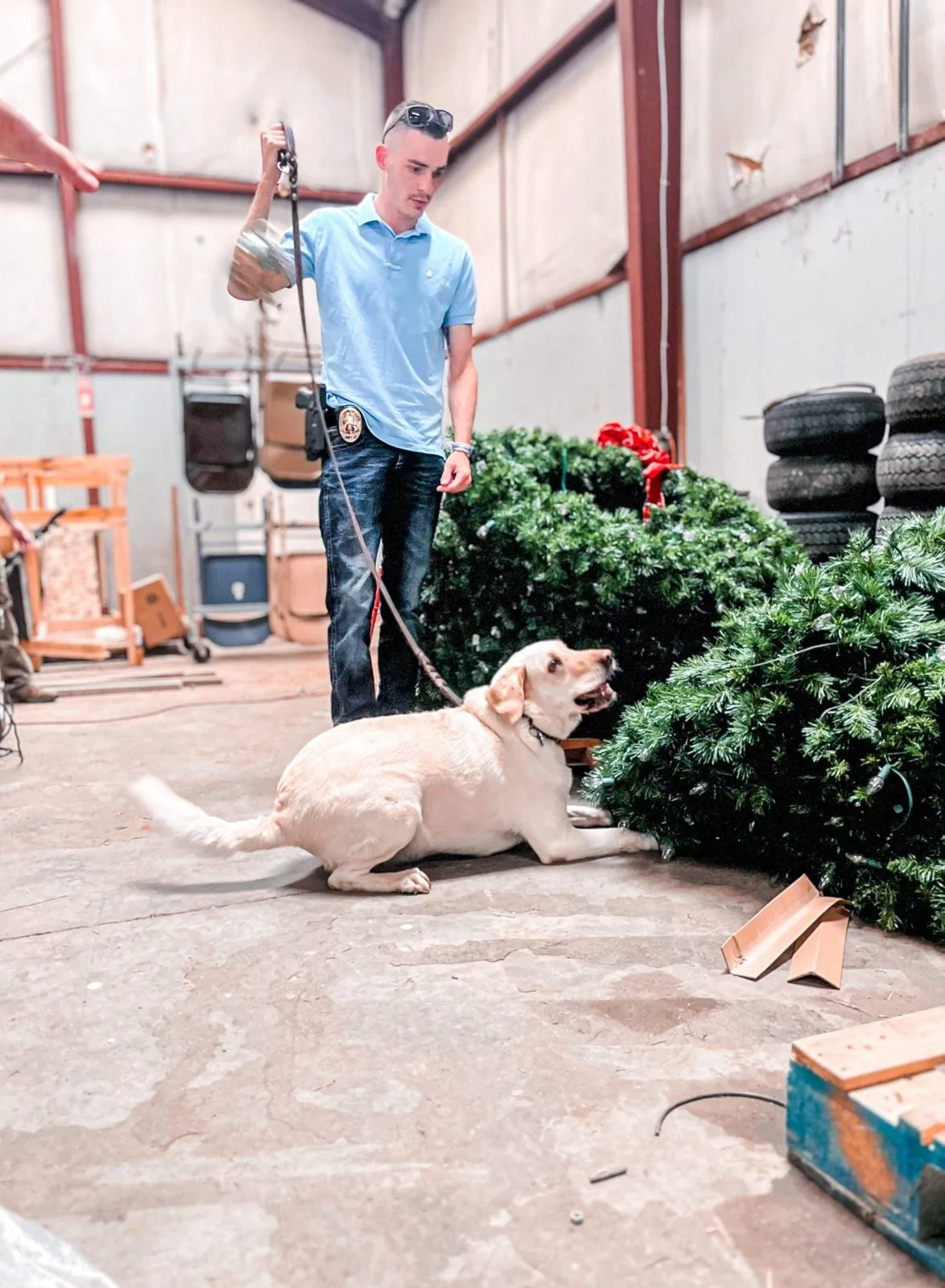 Handler and dog as one system