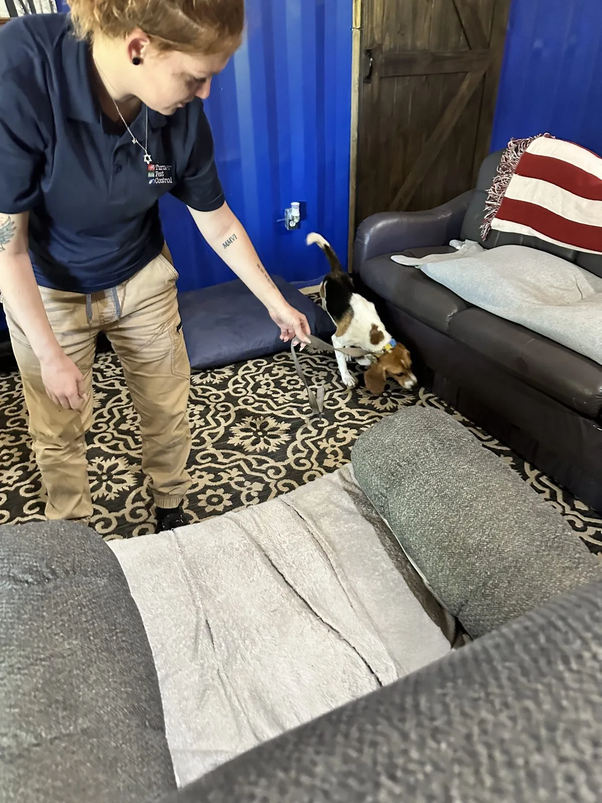 Bed bug inspection in progress