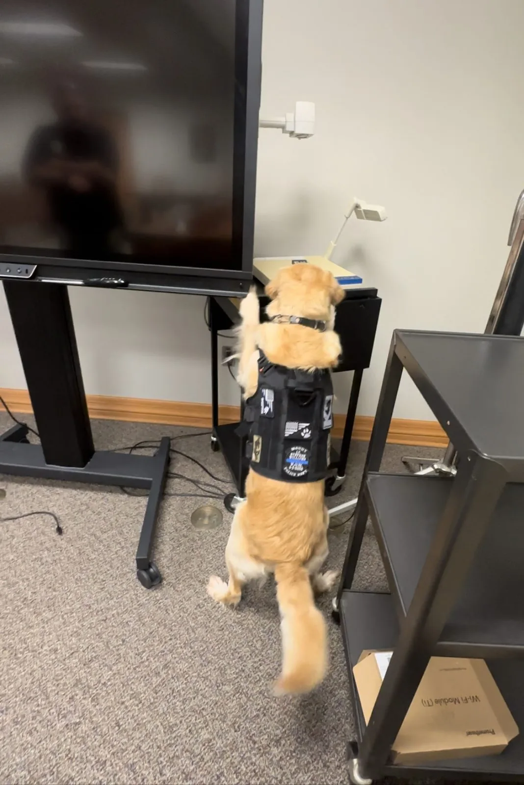 Working to source odor