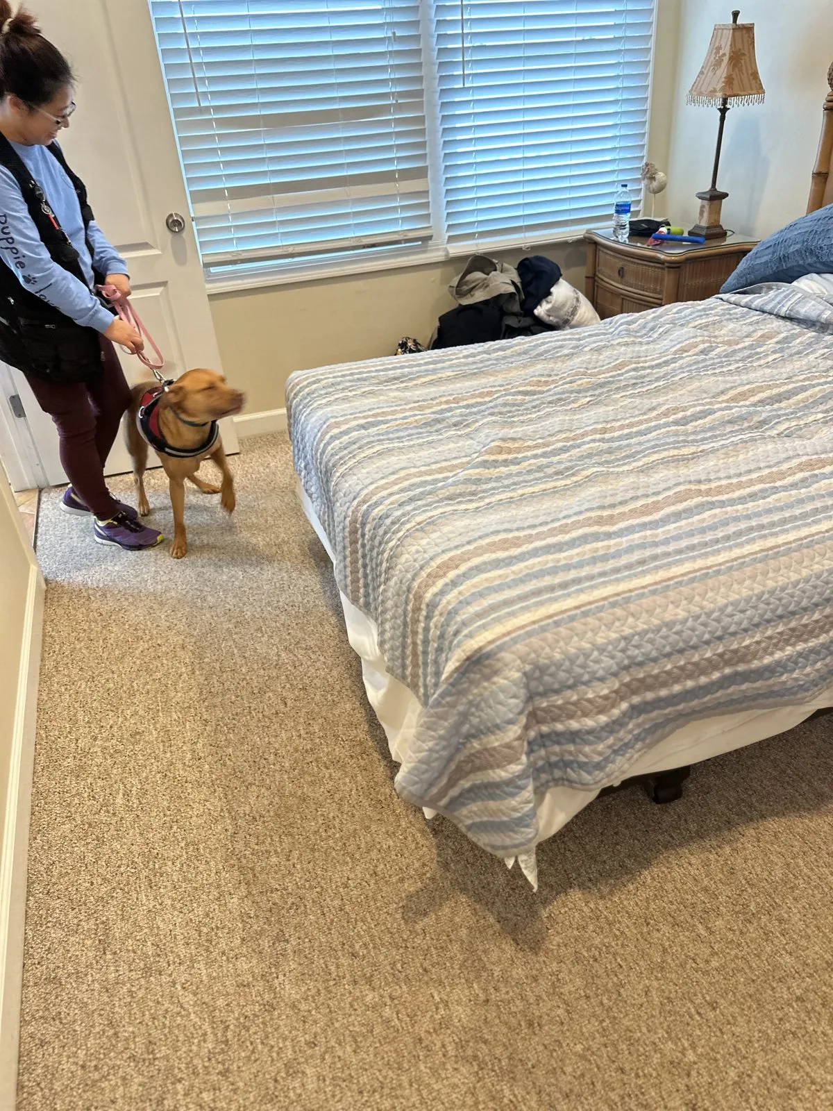 Bed bug detection team on-site