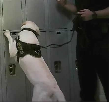 Facility search — lockers