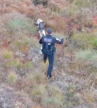 Tracking team in the field