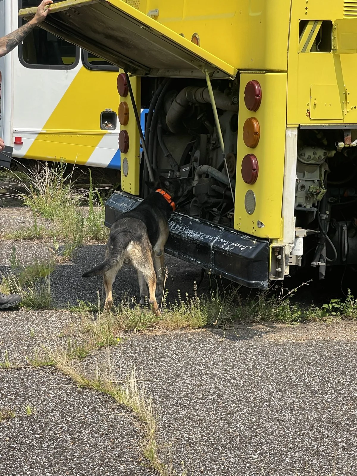 Interior search — transit vehicle