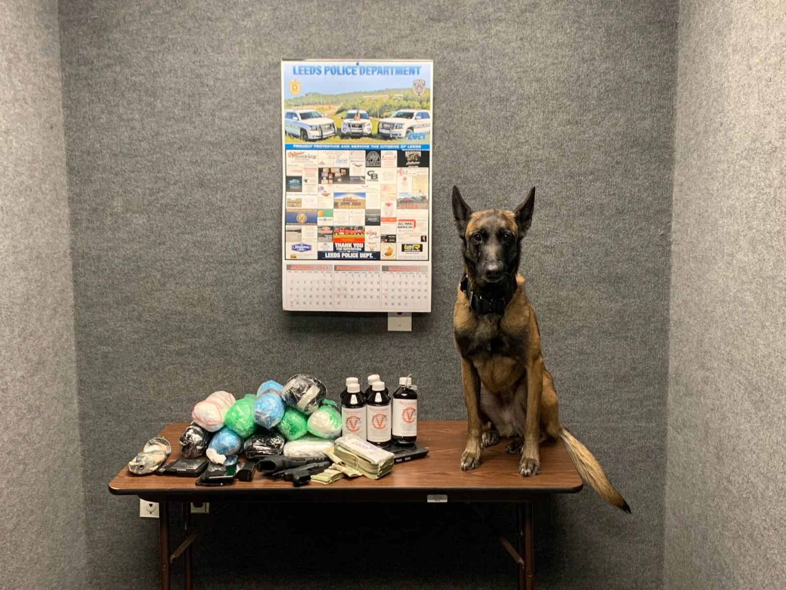 Narcotics dog with a find