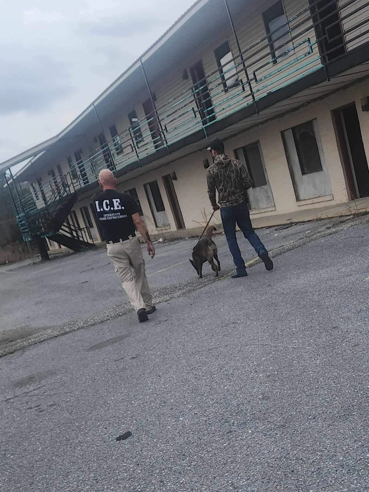 Working alongside a handler