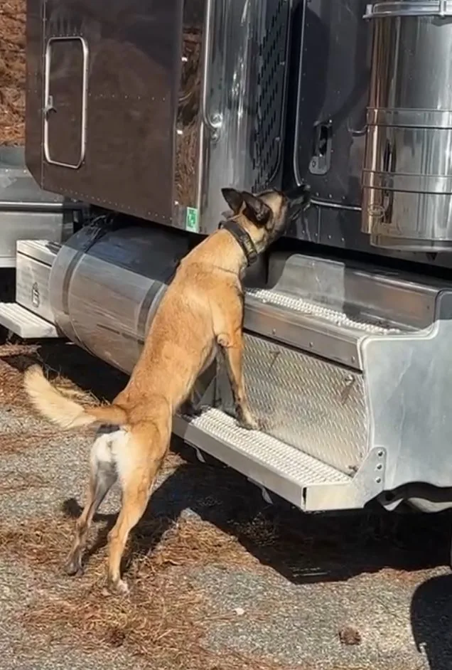 Detailing a vehicle to source