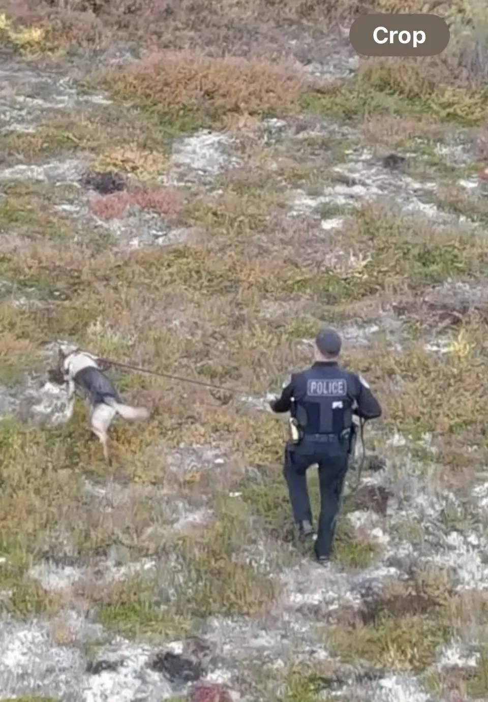 Tracking team in the field