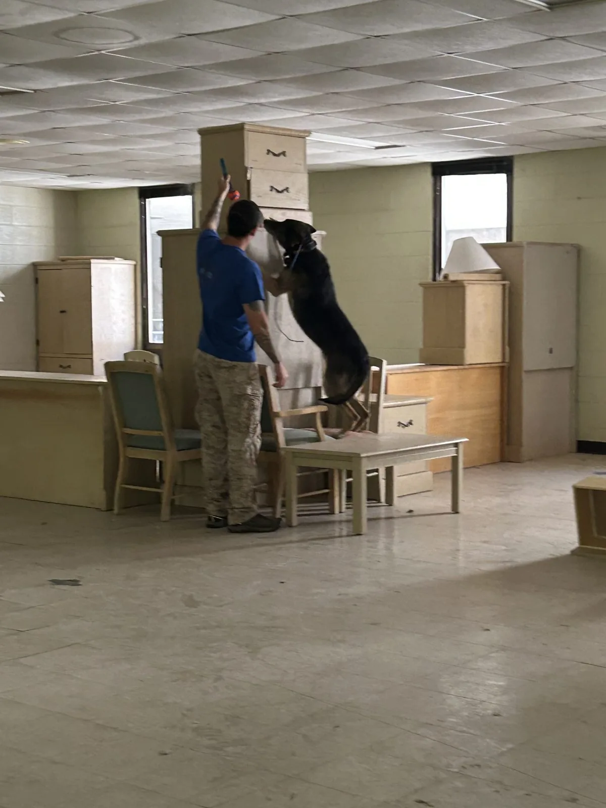 Using structure to reach source odor