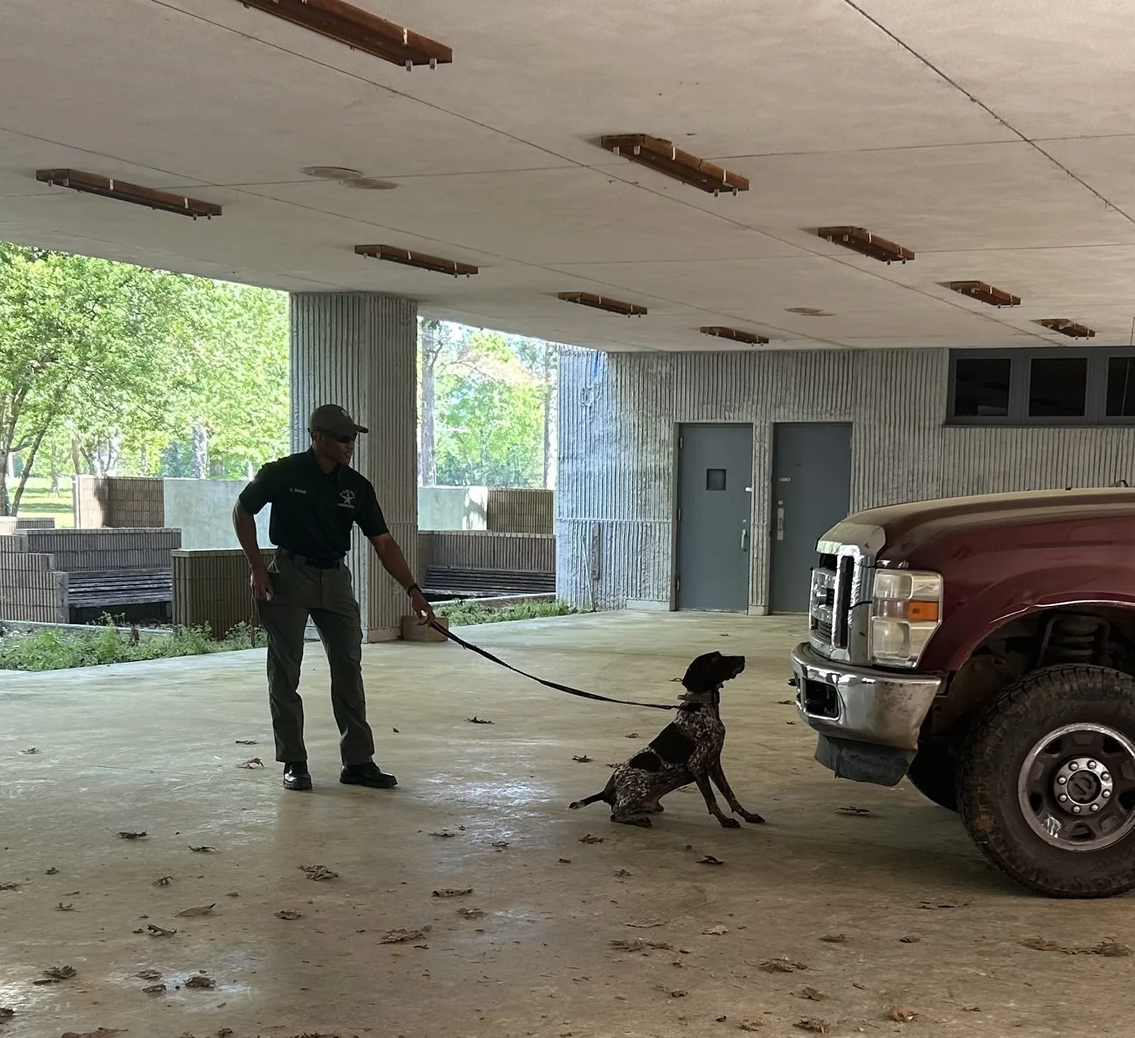 Working a structure to source odor